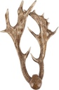 indoor-antler-wall-sconce-with-frosted-r-6.jpg