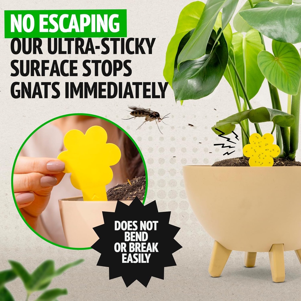 super-ninja-fungus-gnat-traps---30-pack--2.jpg