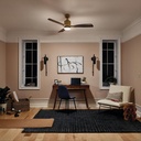 kichler-ridley-ii-52-ceiling-fan-and-lig-5.jpg