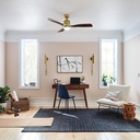 kichler-ridley-ii-52-ceiling-fan-and-lig-6.jpg
