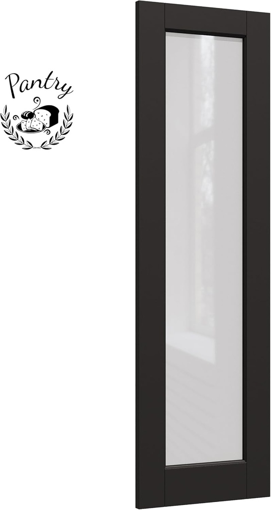 24-x-80-glass-pantry-door-black-pantry-d-2.jpg