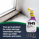 rmr-141-epa-registered-mold-and-mildew-k-3.jpg