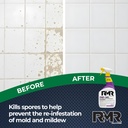 rmr-141-epa-registered-mold-and-mildew-k-4.jpg