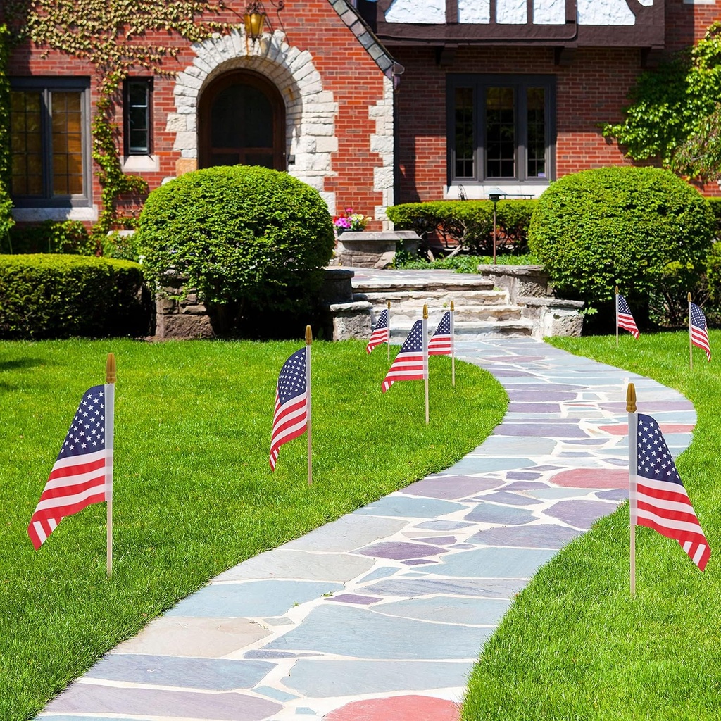 hoosun-12-pcs-small-american-flags-on-st-3.jpg