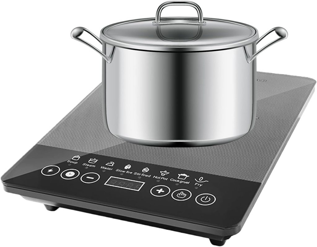 portable-induction-hot-plate-110v-220v-e-6.jpg