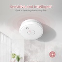 fire-alarms-smoke-detectors-smoke-alarm--5.jpg
