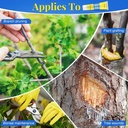 tree-wound-pruning-sealer-bonsai-wound-s-4.jpg
