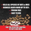 ratx-all-natural-humane-rat-and-mouse-1--6.jpg