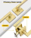 goldenwarm-gold-door-handles-interior-zi-3.jpg