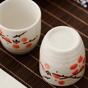 sake-wine-set-wine-glass5-pieces-sake-se-2.jpg