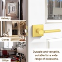 probrico-10-pack-passage-lever-gold-door-2.jpg
