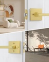 goldenwarm-gold-door-handles-interior-zi-6.jpg