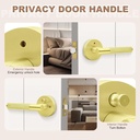 6-pack-brushed-gold-door-handles-modern--3.jpg