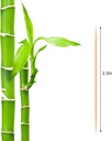 1000-count-bamboo-toothpicks-barbecue-fr-2.jpg