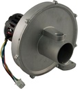 pentair-77707-0256-combustion-air-blower-2.jpg