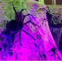 spider-web-halloween-decoration-2-lb-wei-5.jpg