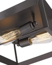 emliviar-2-light-ceiling-light-12-flush--2.jpg