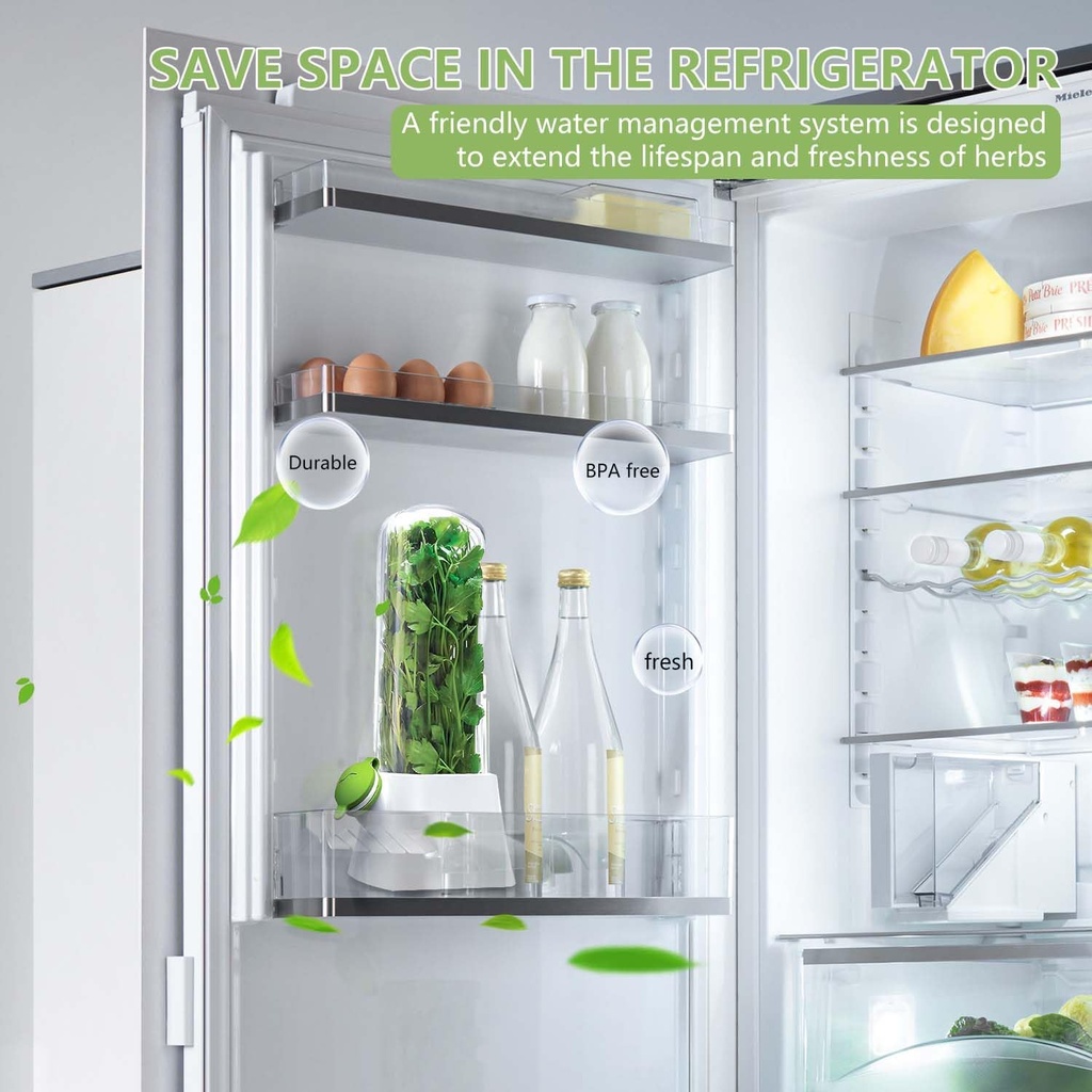herb-keeper-for-refrigerator---premium-h-6.jpg