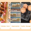 100pcs-plastic-egg-cartons-bulk-2x3-egg--3.jpg