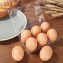 100pcs-plastic-egg-cartons-bulk-2x3-egg--4.jpg