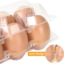 100pcs-plastic-egg-cartons-bulk-2x3-egg--5.jpg