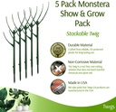 stackable-monstera-plant-support-stakes--2.jpg