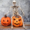 halloween-skeletons-decorations-16-posab-4.jpg