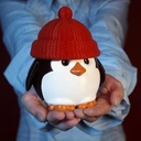 penguin-gifts-cookie-jar-with-lids-cute--4.jpg