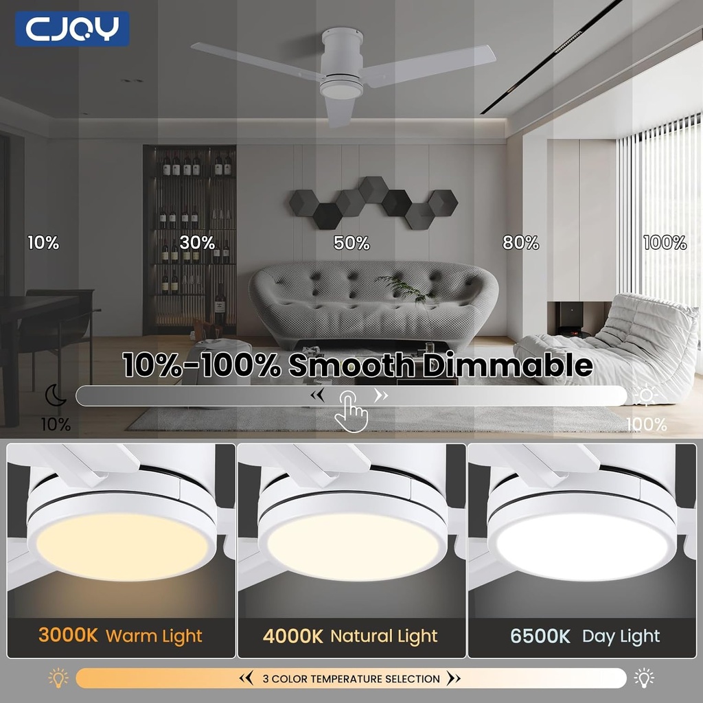 cjoy-ceiling-fan-with-lights-48-inch-low-3.jpg