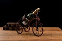 bicycle-wine-bottle-holder-desktop-bike--2.jpg
