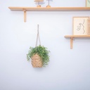 gourd-grass-woven-hanging-basket-hand-wo-5.jpg