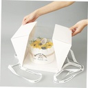 lifkome-transparent-cake-box-secure-buck-4.jpg