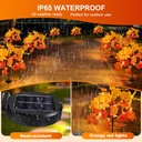 2pack-fall-solar-lights-outdoor-decorati-3.jpg