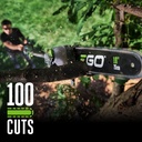 ego-power-pole-saw-cordless-electric-pol-4.jpg