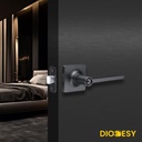 diodesy--entry-door-handle-with-key-reve-2.jpg