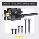 diodesy--entry-door-handle-with-key-reve-5.jpg