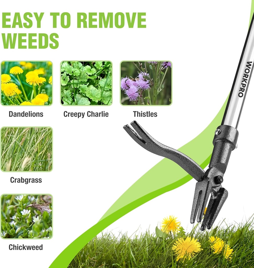 workpro-weed-puller-tool-with-long-adjus-6.jpg
