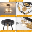black-and-brushed-gold-semi-flush-mount--5.jpg