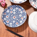ceramic-dinner-plates-set-of-48-inch-jap-6.jpg