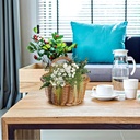 boho-storage-baskets---wall-mounted-wove-2.jpg