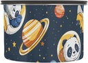 astronaut-panda-planet-stars-airtight-co-2.jpg