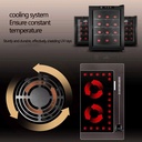 12-bottle-thermoelectric-wine-coolerchil-4.jpg
