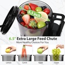 cold-press-juicer-65-extra-large-feed-ch-3.jpg