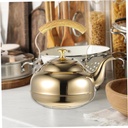 stovetop-tea-kettle-with-removable-infus-6.jpg