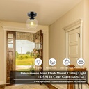 industrial-semi-flush-mount-ceiling-ligh-2.jpg