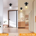 industrial-semi-flush-mount-ceiling-ligh-5.jpg