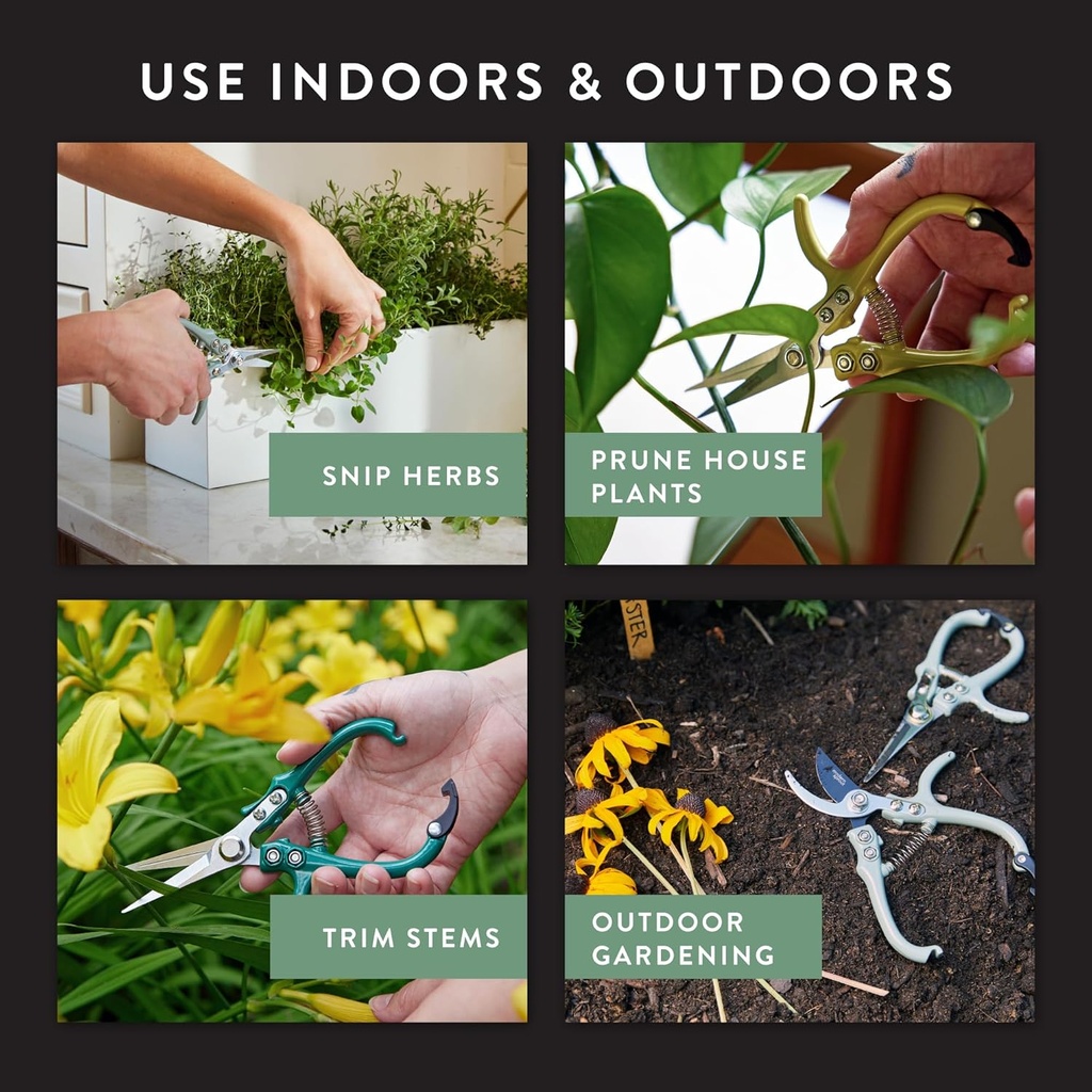 modern-sprout-pruning-shears---herb-snip-2.jpg
