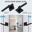 1pc-keyed-entry-door-lever-3pc-privacy-d-2.jpg
