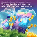 brainista-yerba-magic-sticks-peach-mango-6.jpg