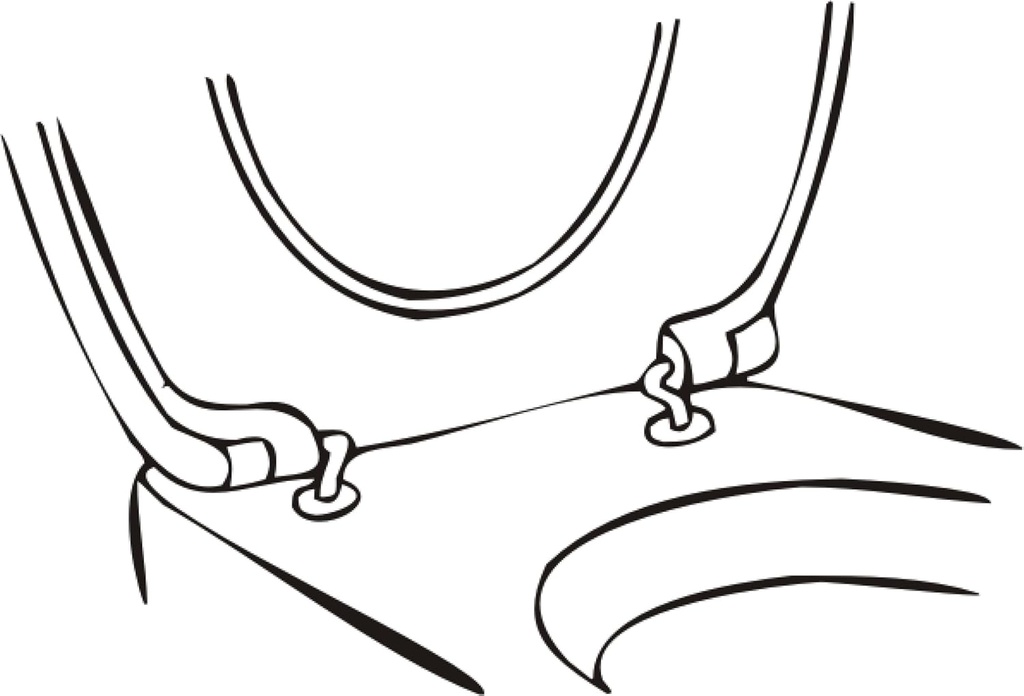cornat-tec364980-toilet-seat-hinge-soft--2.jpg